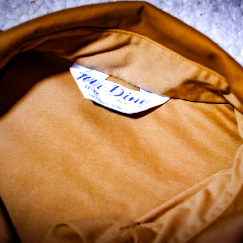 Vintage Mr. Dino button down